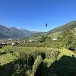 Vista sui meleti di Bianzone in Primavera