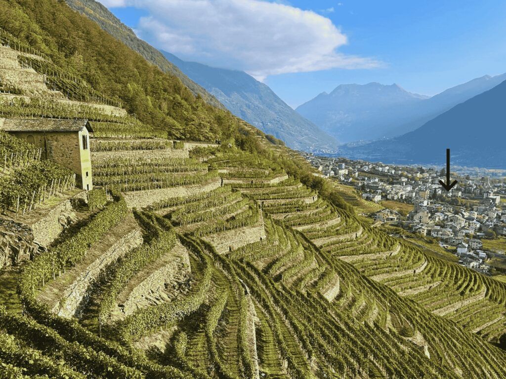 Vista sul paese di Bianzone in Valtellina e i suoi Vigneti.