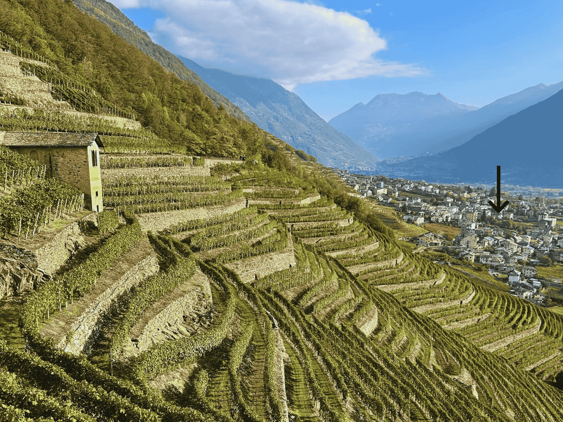 Vista sul paese di Bianzone in Valtellina e i suoi Vigneti.
