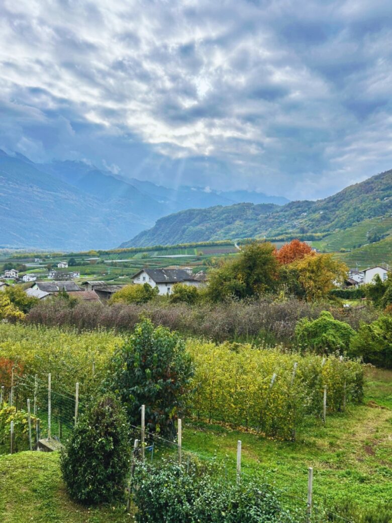 Vista primaverile sui campi di Bianzone in Valtellina