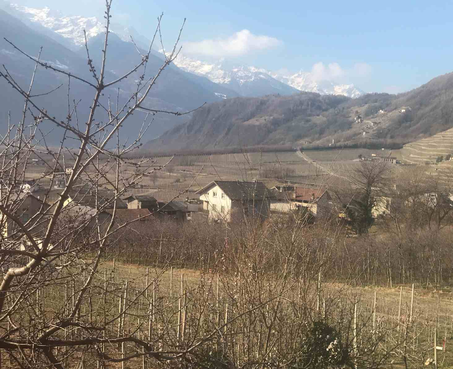 Vista su Bianzone, Valtellina in inverno