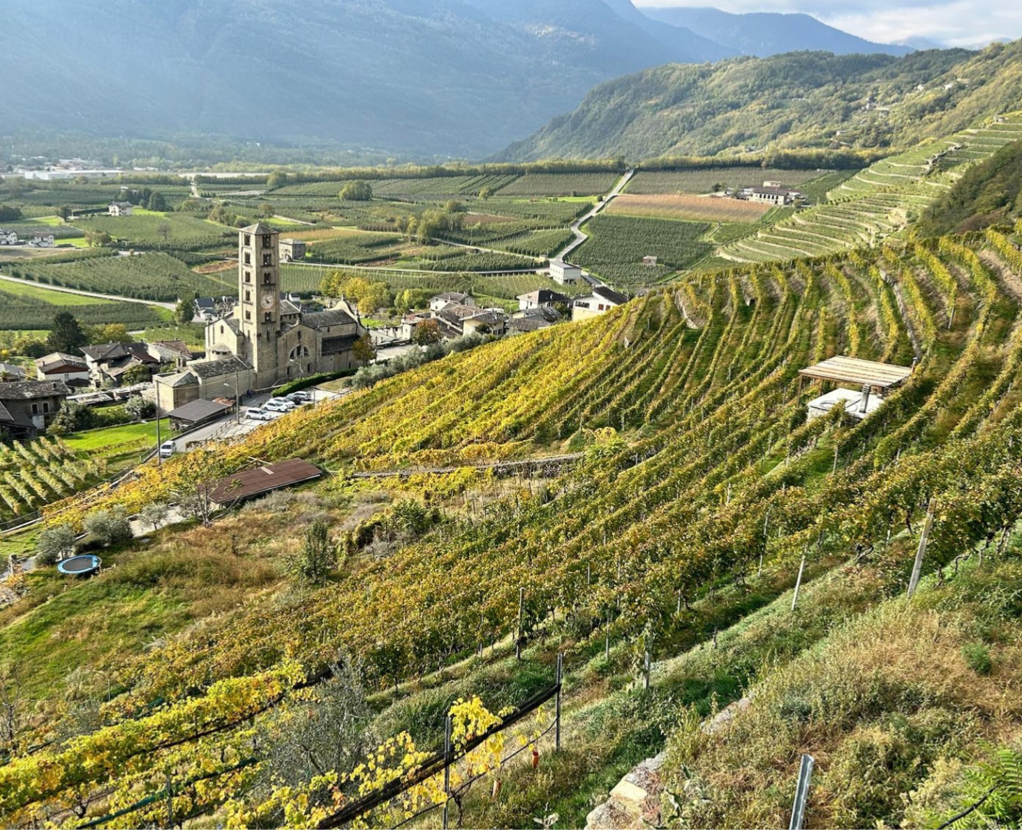 Vista dall'alto del paese di Bianzone