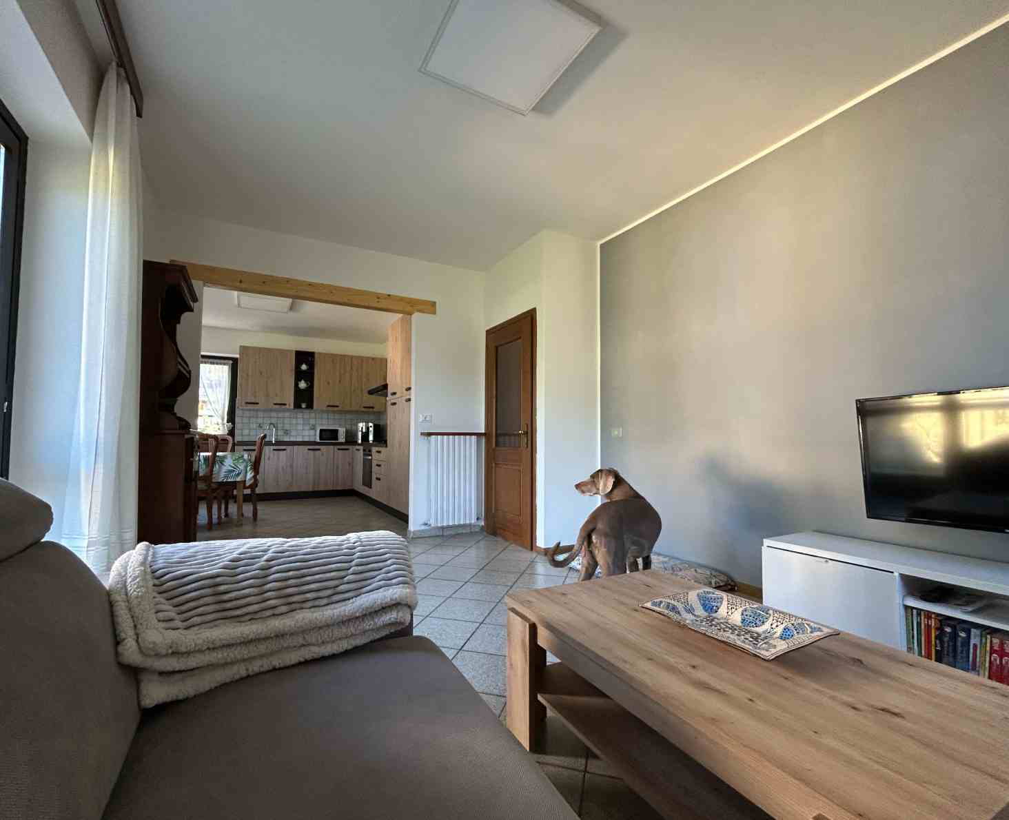 Sala con divano-letto, tavolino e televisione presso Valtellinda