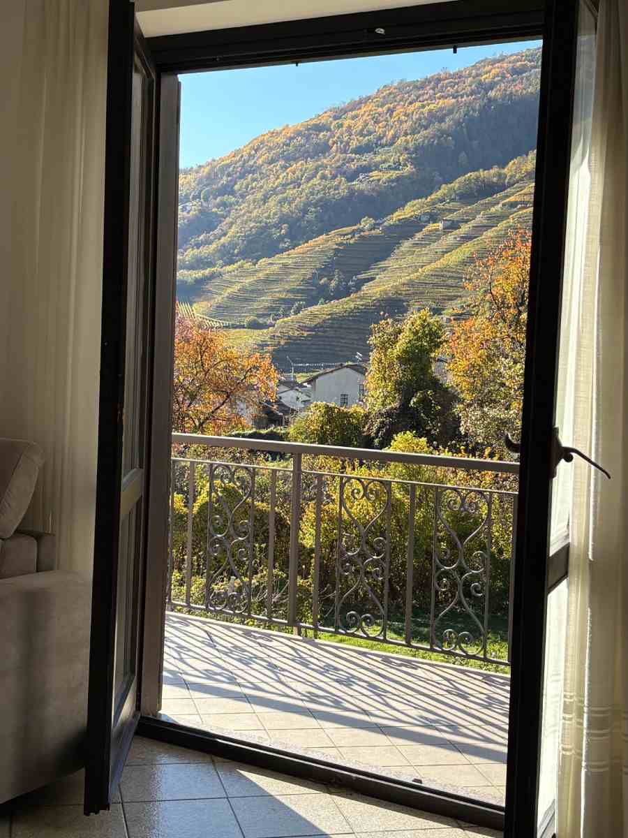 finestra con vista sui vigneti autunnali di Bianzone in Valtellina